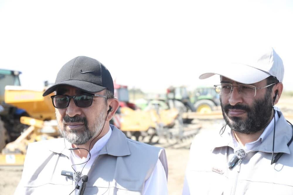 افزایش خرید تضمینی گندم در خراسان رضوی
