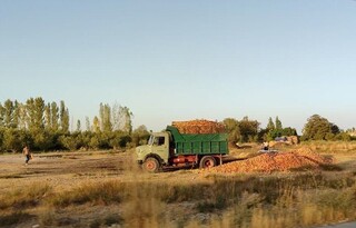قصه پرغصه تلنبار سیب در کنار جاده/ نتیجه زحمات یک‌ساله کشاورزان ارومیه را ببینید!