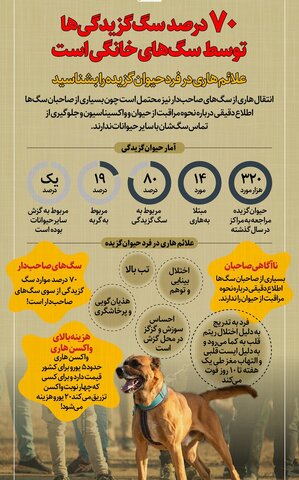 سالانه در ایران بین ۱۰ تا ۲۰ نفر به هاری مبتلا می‌شوند/۳۲۰ هزار مورد حیوان‌گزیدگی در ۱۴۰۱