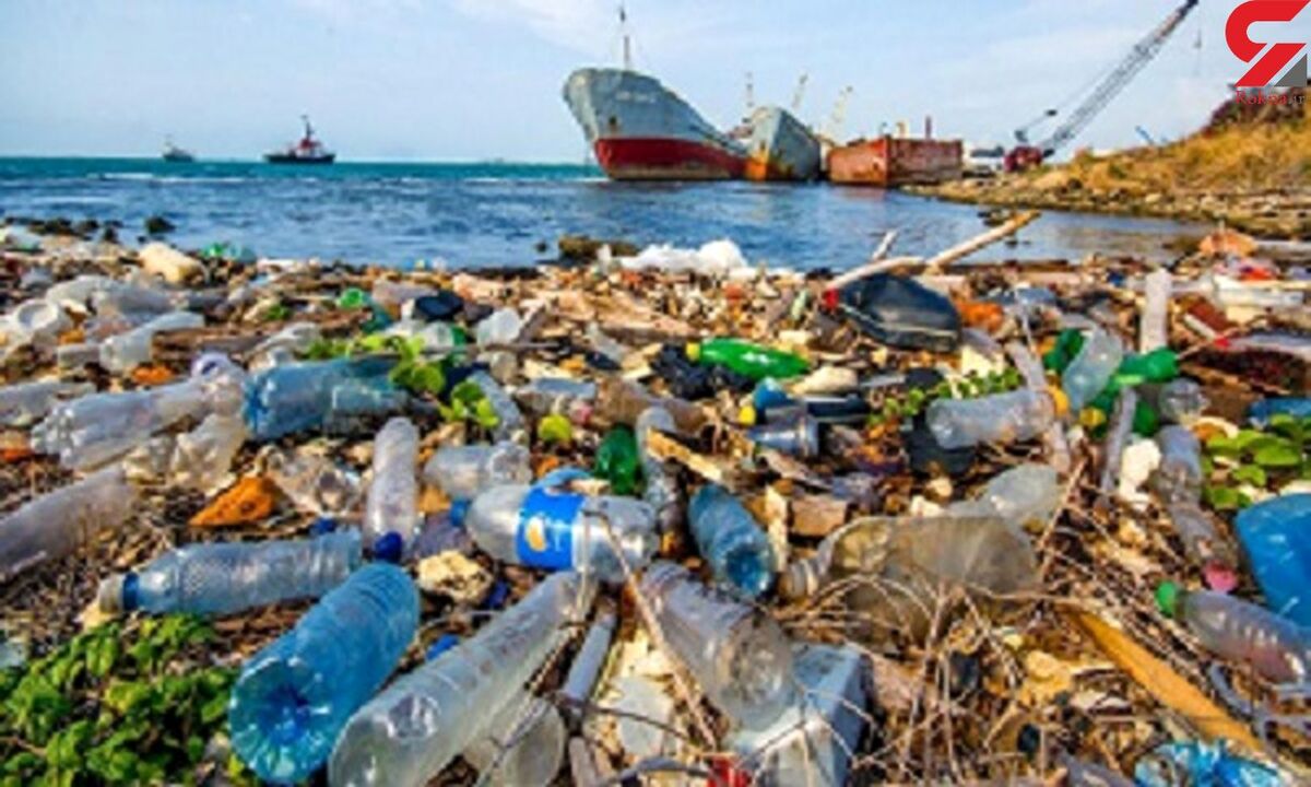 پلاستیک‌ها ۸۰ درصد کل زباله‌های دریایی را تشکیل می دهند!