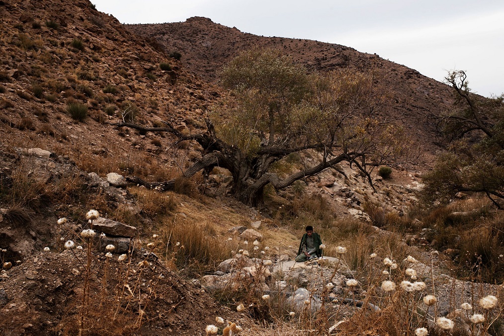 مرجان یزدی عکاس ایرانی کانادایی تلاش شکارچی‌هایی که حالا محیطبان شده‌اند را مستند کرده است/ کوه مسجد؛ یک امنیت 55 هزار جریبی