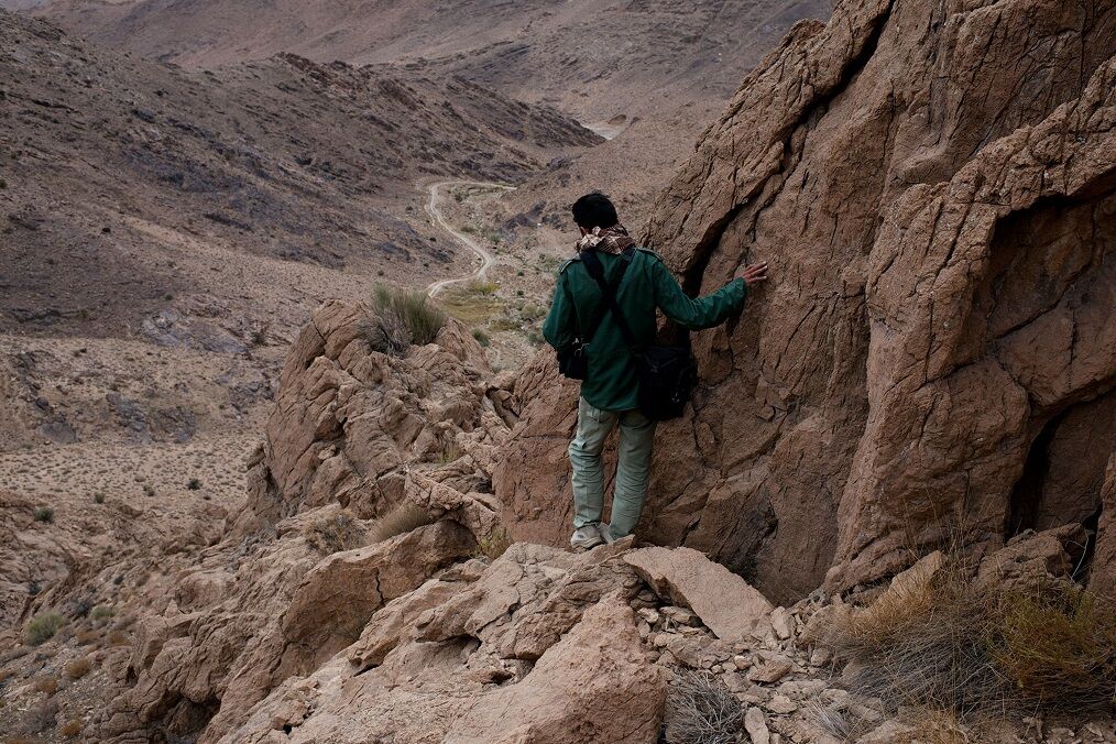 کوه مسجد؛ یک امنیت ۵۵ هزار جریبی / مرجان یزدی عکاس ایرانی کانادایی تلاش شکارچی‌هایی که حالا محیطبان شده‌اند را مستند کرده است