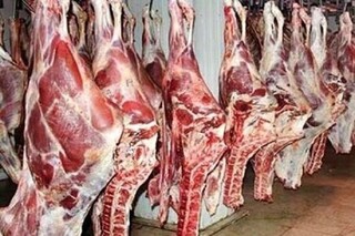 در بازار گوشت چه می‌گذرد؟/ پیمان پاک: واردات تا ثبات بازار ادامه دارد