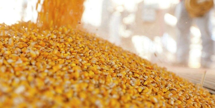 افتتاح اولین کارخانه مکمل خوراک دام در نیشابور