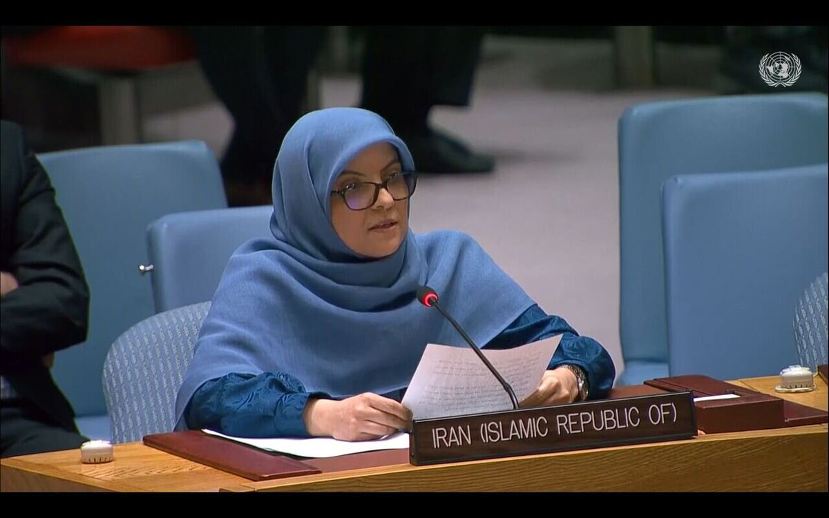 سفیر و معاون نمایندگی ایران در سازمان ملل: اقدامات قهرآمیز یک‌جانبه ناقض حقوق بشر است