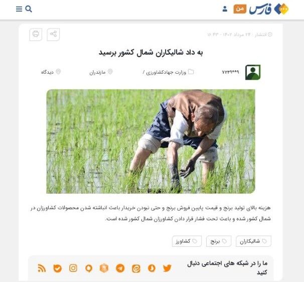 وعدههای خرید برنج کی به سرانجام میرسد؟