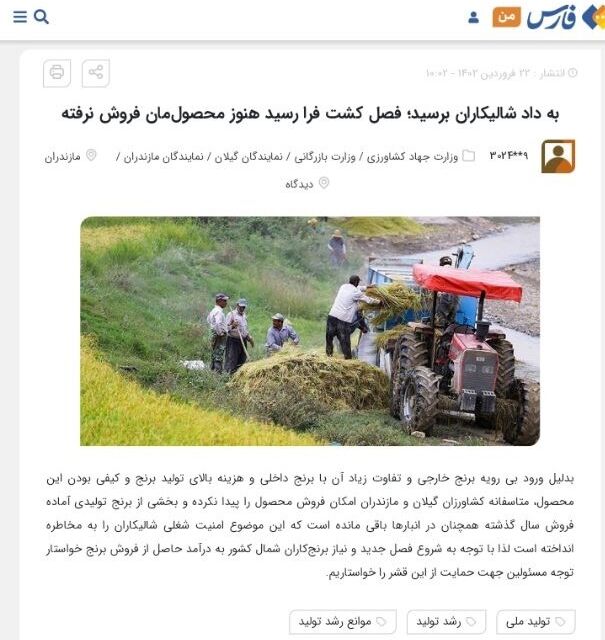 وعدههای خرید برنج کی به سرانجام میرسد؟