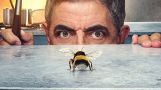 پاسخ یک متخصص؛ آیا نیش زنبورها باعث مرگ می‌شود؟