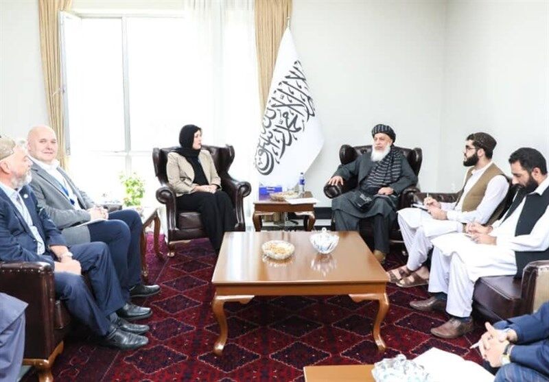 استانکزی: سازمان ملل به معیشت جایگزین مواد مخدر در افغانستان کمک کند