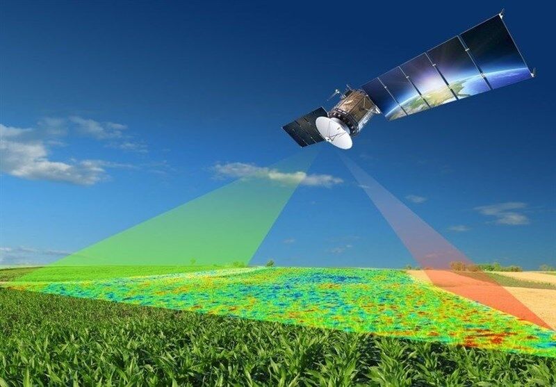 تخمین سطح‌ زیرکشت برنج کشور با دقت ۹۰ درصدی توسط سازمان فضایی ایران