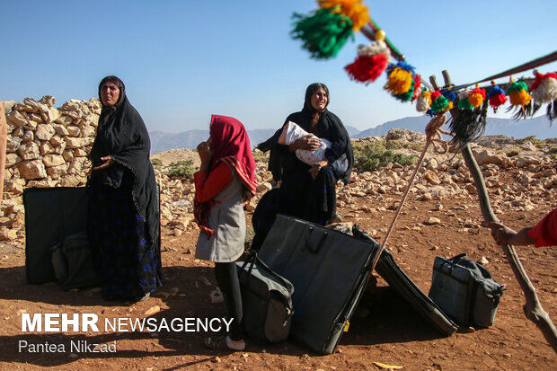 دستان خالی عشایر همدان از پنل های خورشیدی/ شرکت برق پاسخگو باشد