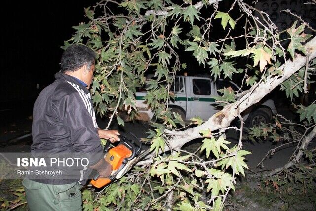 طوفان گلستان را درنوردید/ وزش باد شدید و یک شب پراسترس
