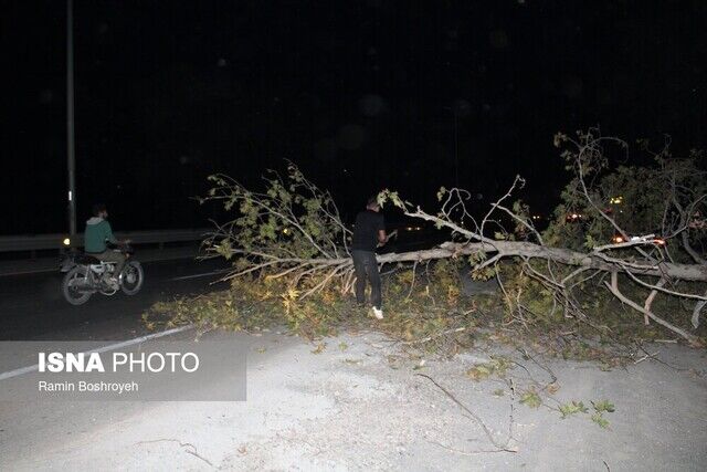 طوفان گلستان را درنوردید/ وزش باد شدید و یک شب پراسترس