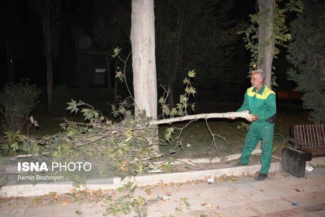 طوفان گلستان را درنوردید/ وزش باد شدید و یک شب پراسترس