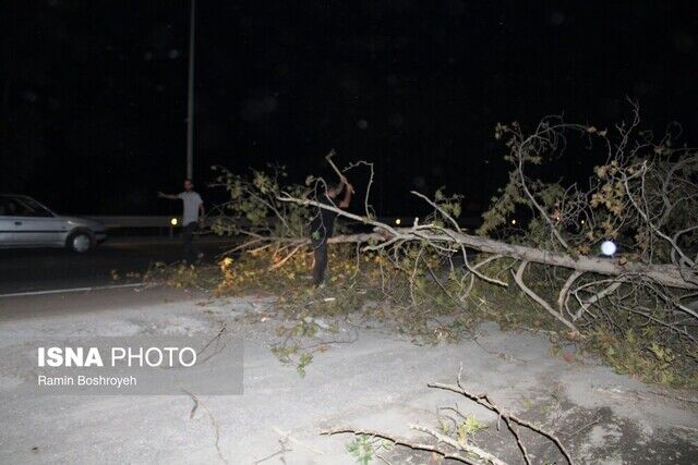 طوفان گلستان را درنوردید/ وزش باد شدید و یک شب پراسترس