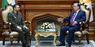 دیدار وزیر دفاع با رئیس جمهور تاجیکستان