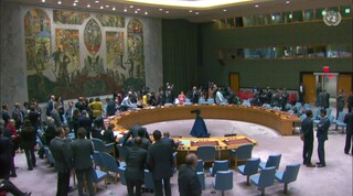 شورای امنیت باز هم قطعنامه آتش‌بس در غزه را رد کرد/وتوی قطعنامه برزیل از سوی آمریکا