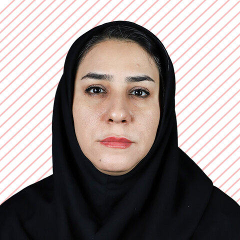 پاسخ وطن‌دوستانه همایون به ناسزاگویان