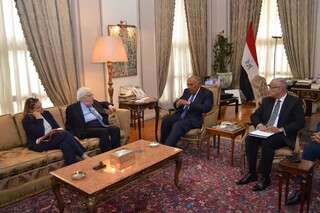 وزیر خارجه مصر و مقام سازمان ملل آخرین تحولات غزه را بررسی کردند