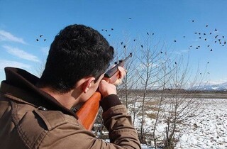 باند زنده‌گیری و قاچاق پرندگان شکاری در خراسان رضوی متلاشی شد