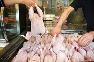 افزایش ۸ درصدی عرضه مرغ در شهریور نسبت به مرداد