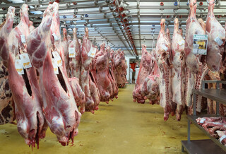 واردات گوشت قرمز سبک افزایش و گوشت مرغ کاهش یافت