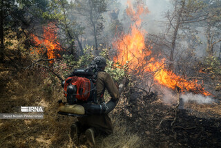 بخشی از جنگل های مرزن آباد چالوس آتش گرفت