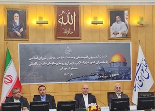 نشست سازمان‌های بین‌المللی مستقر در ایران درباره فلسطین برگزار شد
