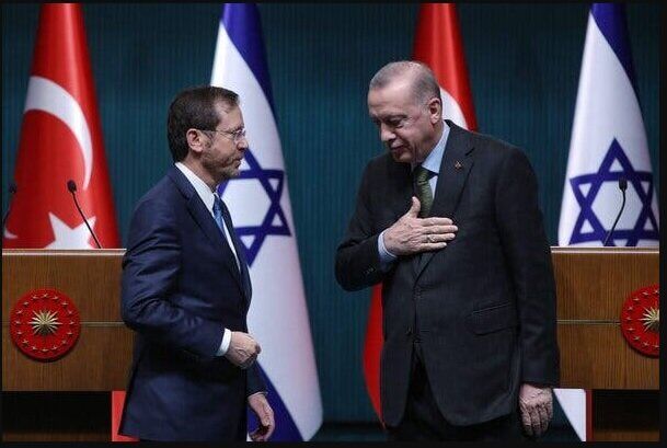 سیاست ماکیاولیستی اردوغان در قضیه غزه/ نگاهی به تناقض‌های رفتاری ترکیه نسبت به تحولات فلسطین