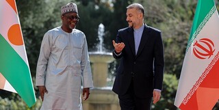 دیدار وزیر خارجه نیجر با امیرعبداللهیان
