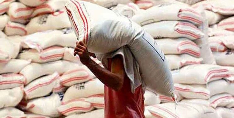 خرید بیش از ۱۱ هزار تن برنج پرمحصول در مازندران