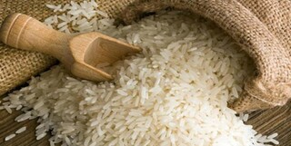 خرید ۹۵۰۰ تنی برنج از کشاورزان گیلانی/ آمادگی برای خرید میوه شب عید