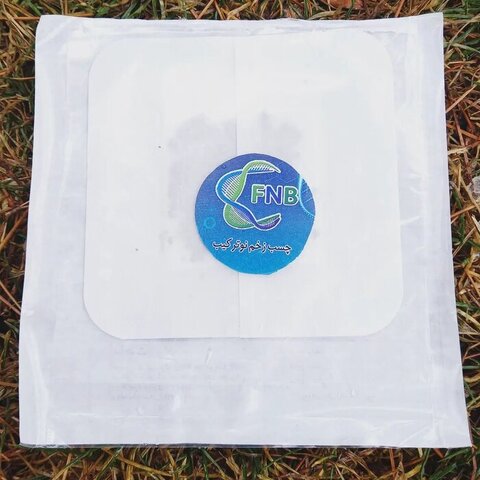 دستاورد شرکتهای دانشبنیان ایرانی؛ درمان آلزایمر با آدامس و آبنبات