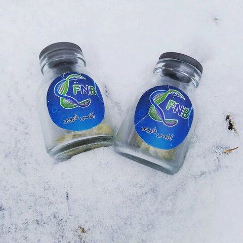 دستاورد شرکتهای دانشبنیان ایرانی؛ درمان آلزایمر با آدامس و آبنبات