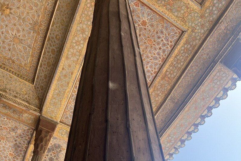  موریانه ها چهل ستون را خوردند!/ پاسخگویی میراث فرهنگی اصفهان+ تصاویر