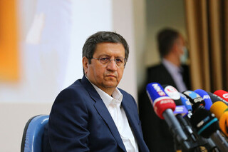 همتی: می‌گویند آنهایی که هشدار می‌دهند، دغدغه اقتصاد ایران را ندارند!