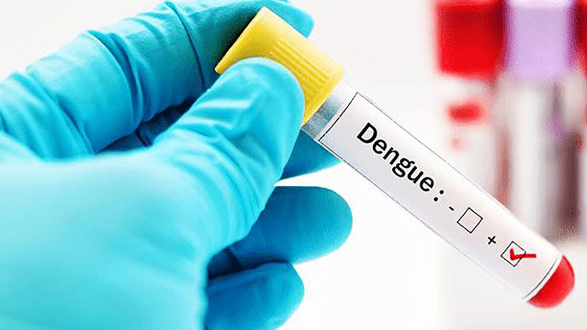 بیماری‌های تب دنگی و زیکا هنوز در کشور شناسایی نشده‌اند