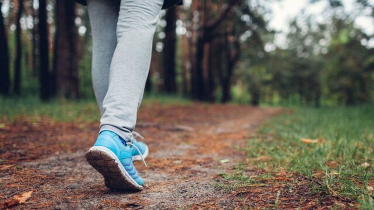 چند قدم پیاده روی برای سلامتی مناسب است؟