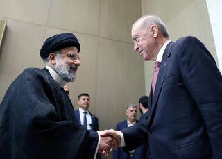 صالحی اعلام کرد؛ توصیه رئیسی به سران کشورهای اسلامی درباره مسئله فلسطین