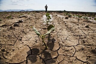 خشکسالی و تخریب زمین؛ دلیل مهاجرت دسته‌جمعی کشاورزان آسیای میانه