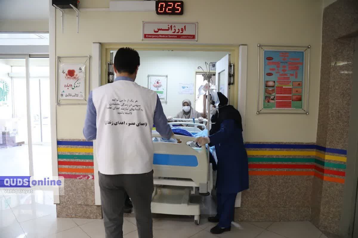 اعضای بیمار مرگ مغزی مشهدی به ۴ نفر اهدا شد
