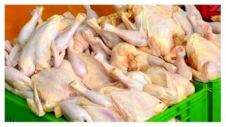 هر کیلو گوشت مرغ در بازار ۸۵.۸۰۰ تومان