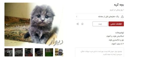 فروش غیرقانونی سگ و گربه روی دیوار/ توله های ۱۵ میلیون تومانی!