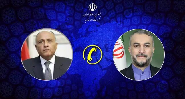 «فلسطین» باعث افزایش سطح همکاریهای سیاسی ایران و مصر شده است