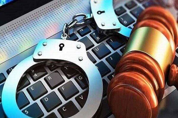 رئیس پلیس امنیت اقتصادی فراجا: ۱۲ هزار صفحه و تارنمای متخلف در فضای مجازی شناسایی شد