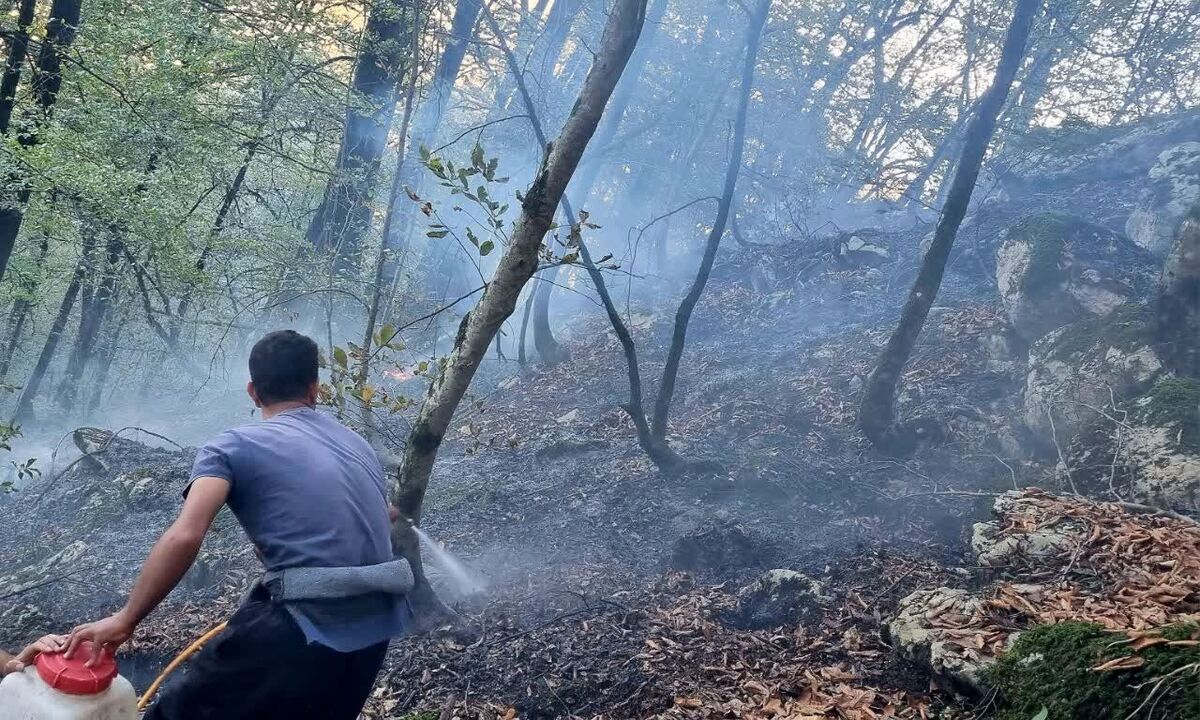 آتش سوزی جنگل منطقه نمک آبرود چالوس مهار شد