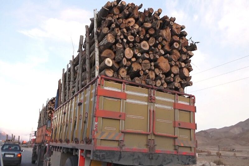 ۲۰ میلیاردریال چوب قاچاق در پردیس کشف شد
