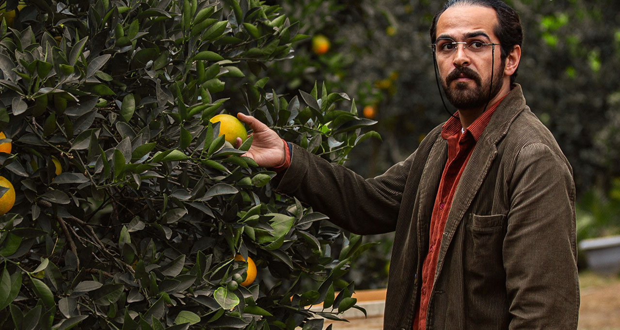 بررسی اولین فیلم بلند آرمان خوانساریان/ رستگاری در «جنگل پرتقال»