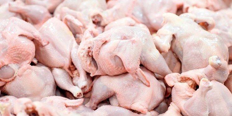 فروش مرغ بیش از قیمت ۸۵ هزار تومان تخلف است