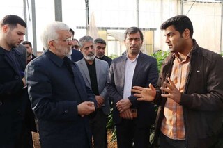 سعید جلیلی: ایران فرصت‌های مطلوبی در عرصه اقتصاد منطقه دارد